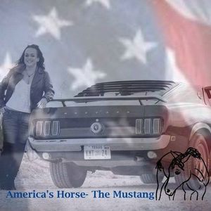 Meet your Posher, Misty